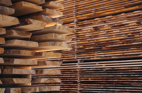 木材管理の画像