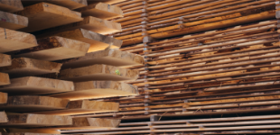 木材管理の画像